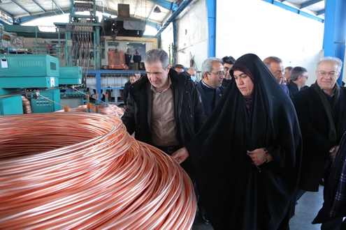 بازدید معاون وزیر صمت و مدیرعامل ایزیپو از واحدهای تولیدی در شهرک‌های صنعتی یک و دو میانه و پیگیری مشکلات صنعتگران